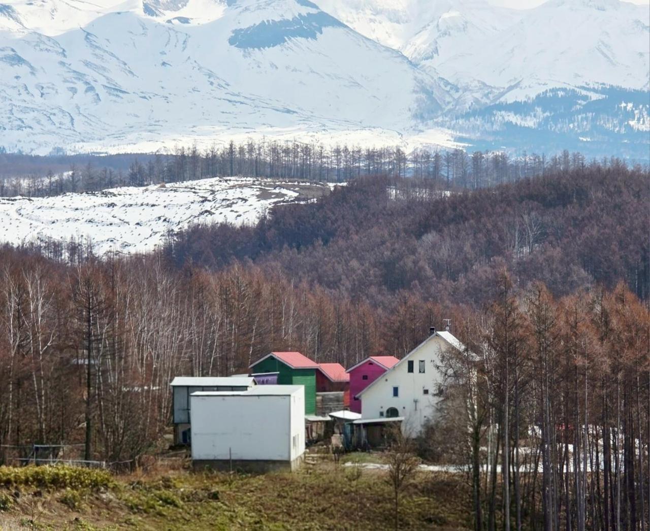 Auberge Ninguruforet Biei Extérieur photo